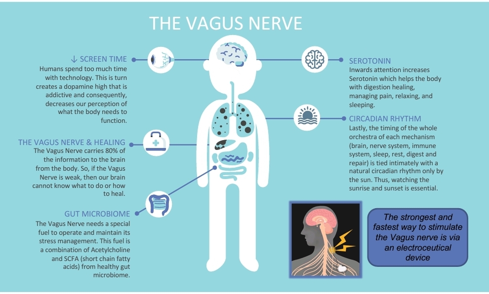 vagus-nerve-dysfunction