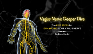 Vagus Nerve Deeper Dive